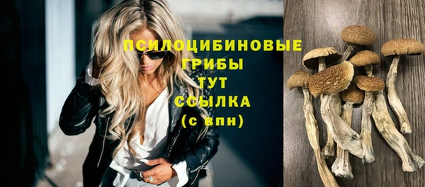 мдма Белокуриха