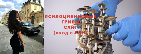 мдма Белокуриха